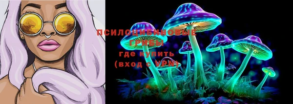 ПСИЛОЦИБИНОВЫЕ ГРИБЫ Волоколамск