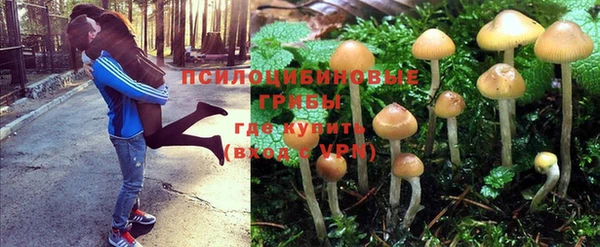 ПСИЛОЦИБИНОВЫЕ ГРИБЫ Волоколамск