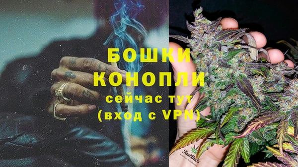 СК Тобольск