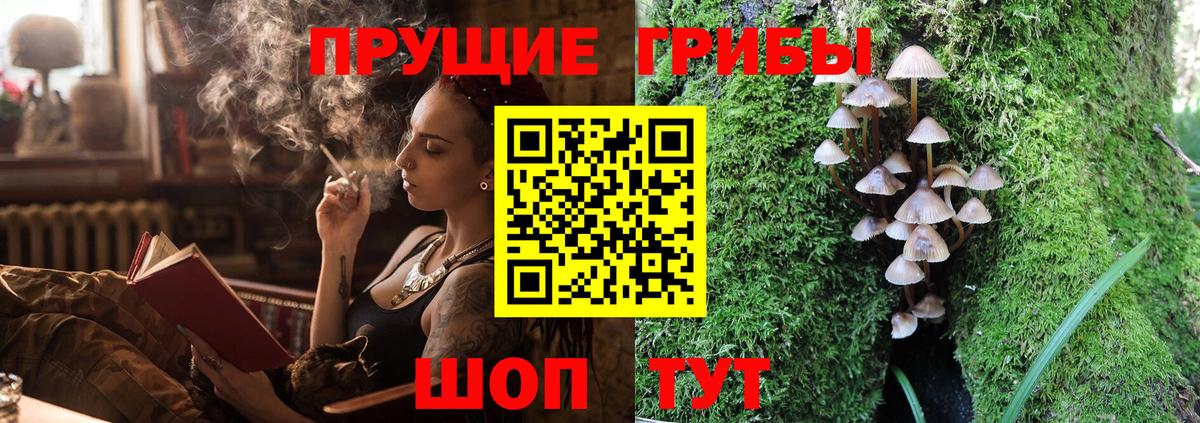 Галлюциногенные грибы Psilocybine cubensis Мариинск